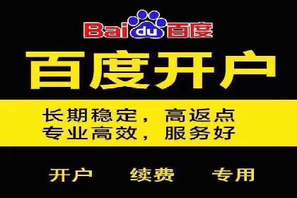 百度推广案例：品牌快速崛起的秘密